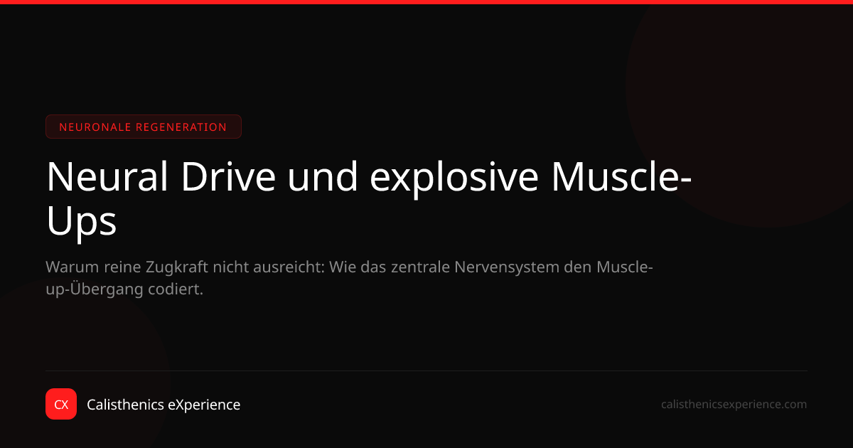 Neural Drive und explosive Muscle-Ups | Calisthenics eXperience